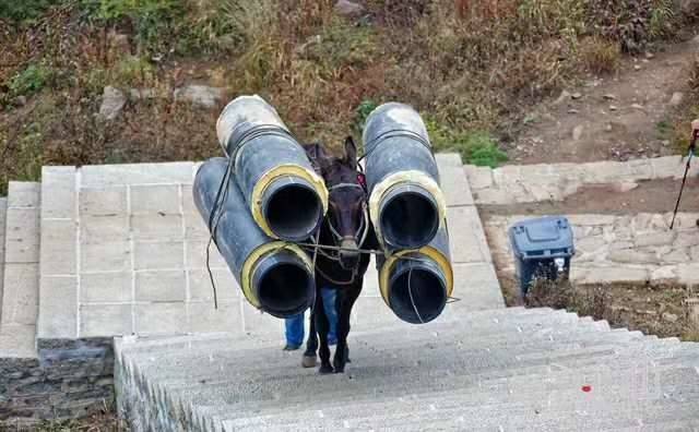 十堰马帮运输